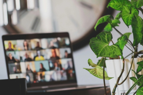 Laptop screen showing a virtual meeting with a potted plant nearby